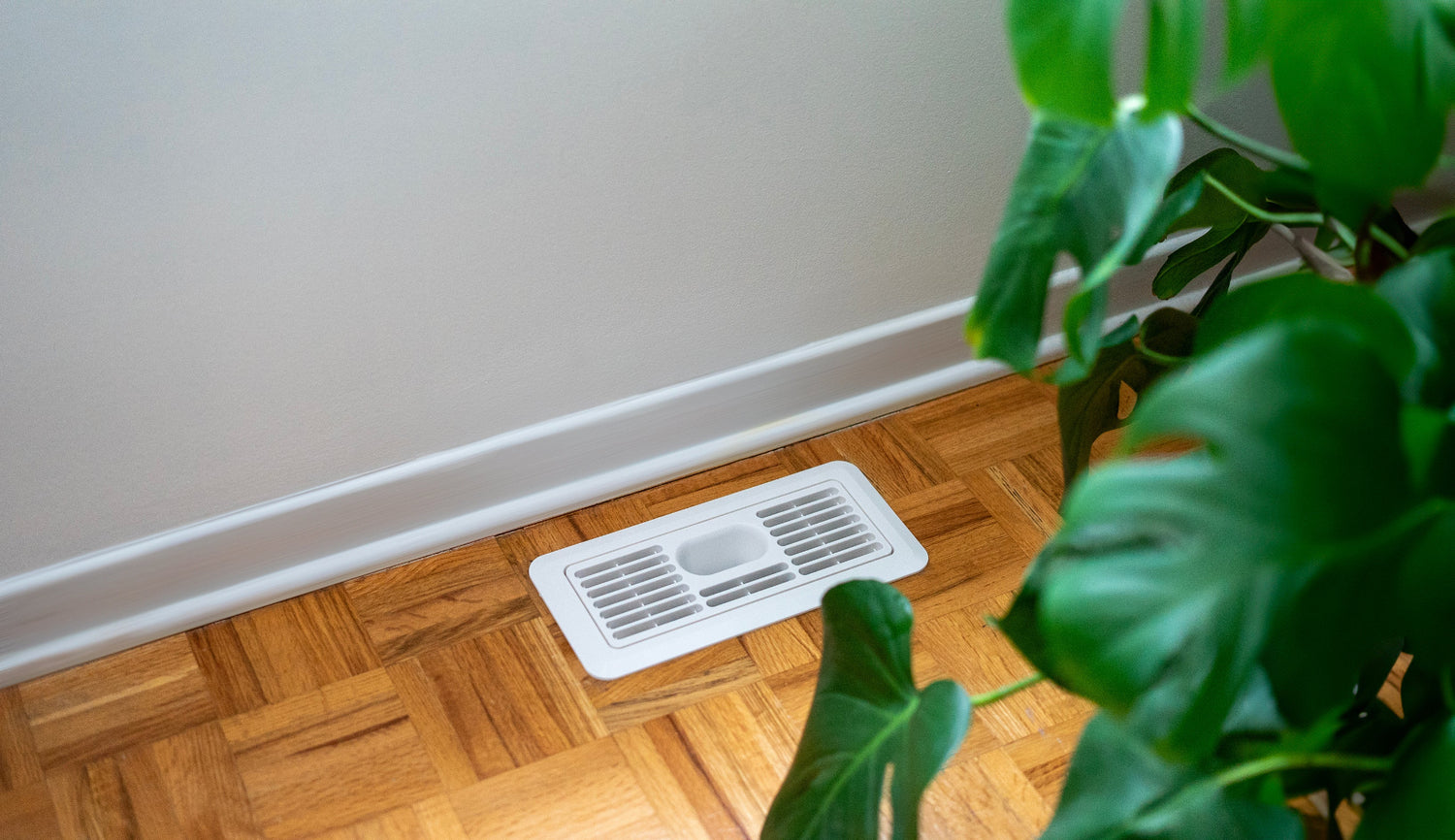 EverVent prevents drying out houseplants